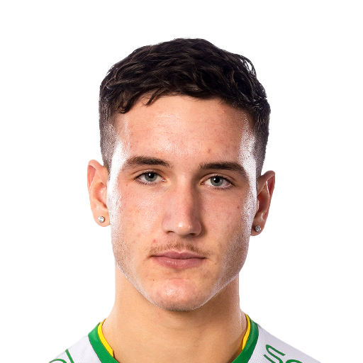 FC 25 Face