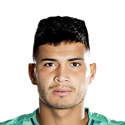 FC 25 Leon Face