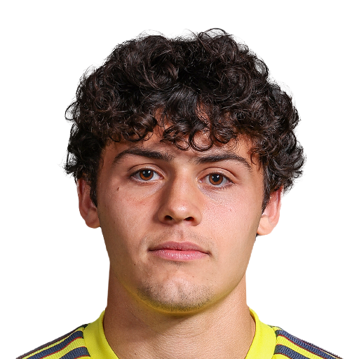 FC 25  Face