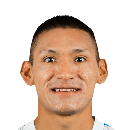 FC 25 Face