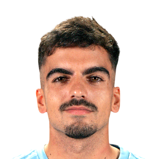 FC 25 Face