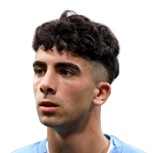 FC 25  Face
