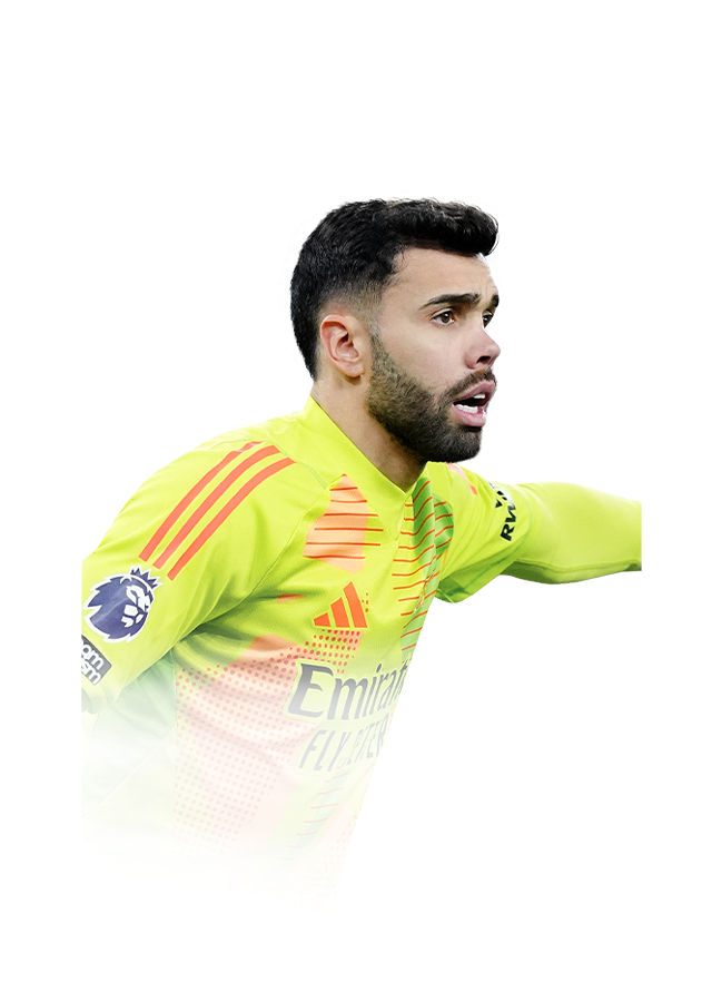FC 25 David Raya Face
