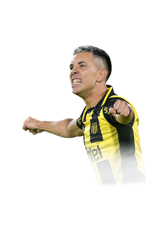 FC 25 Fernandez Face