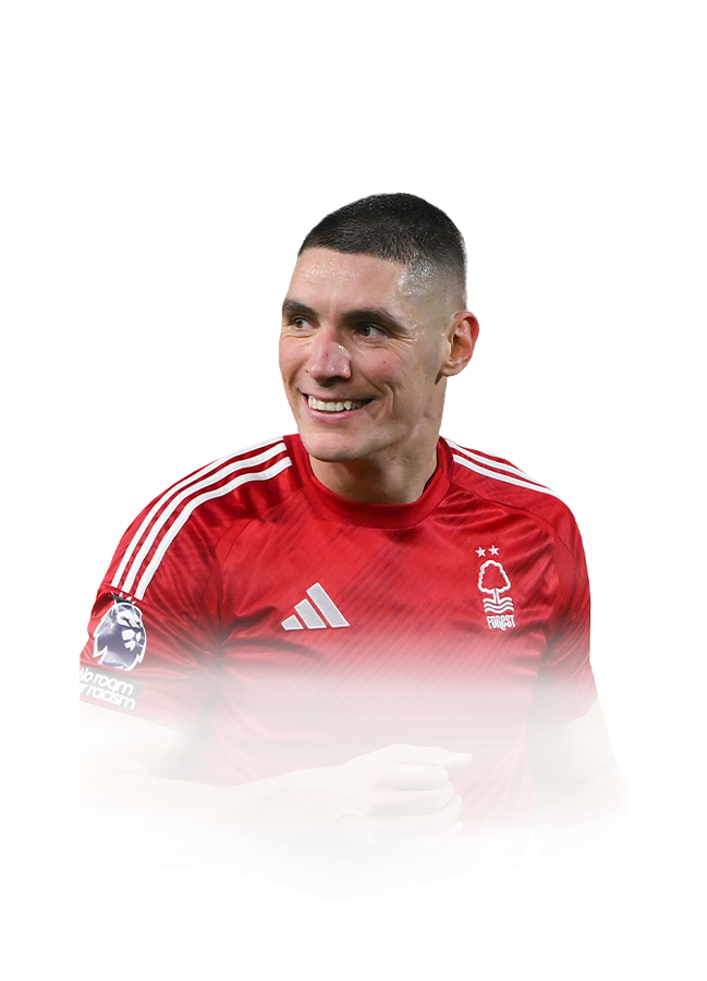 FC 25 Milenkovic Face