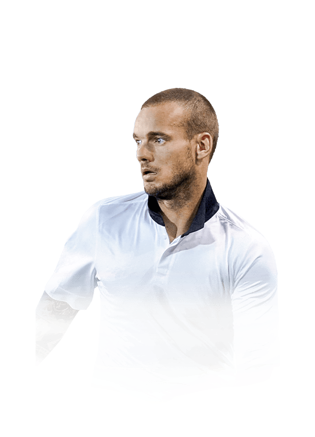 FC 25 Sneijder Face
