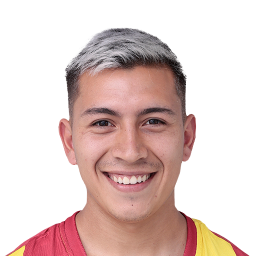 FC 25 Face