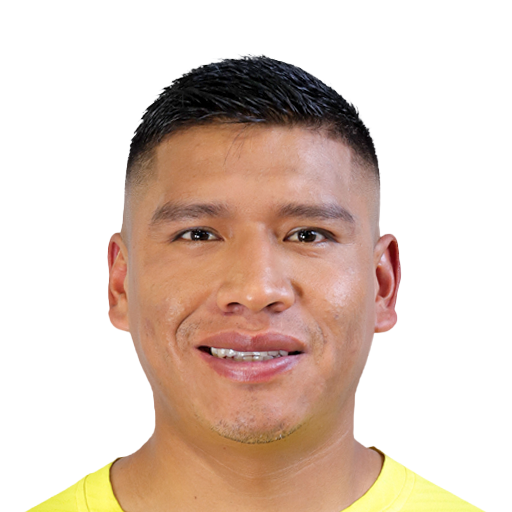 FC 25 Face
