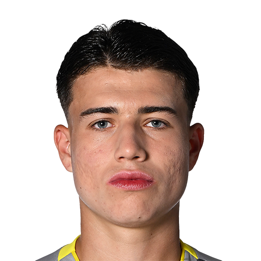 FC 25  Face