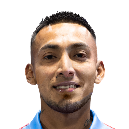 FC 25 Face