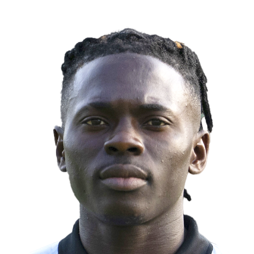 FC 25  Face