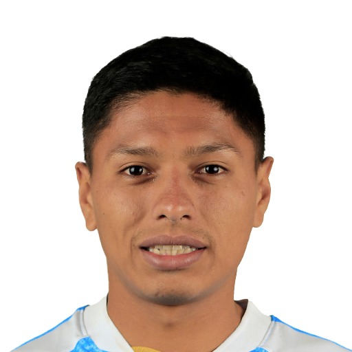 FC 25 Face
