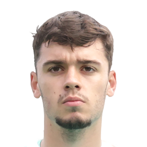 FC 25 Face