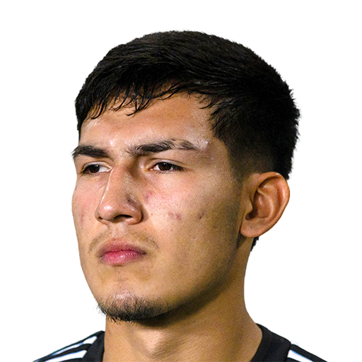 FC 25 Face