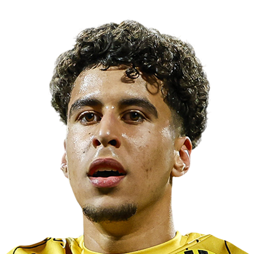 FC 25 Face