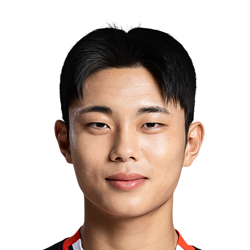 FC 25 Face