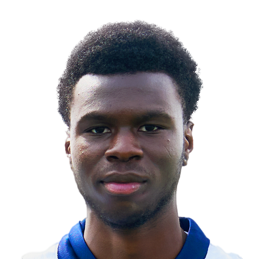 FC 25 Face