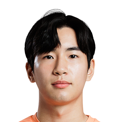 FC 25  Face