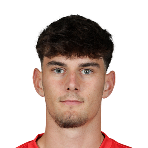 FC 25 Face