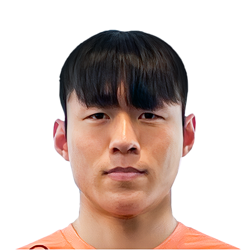 FC 25  Face
