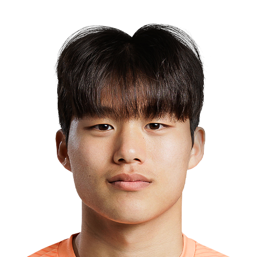 FC 25  Face