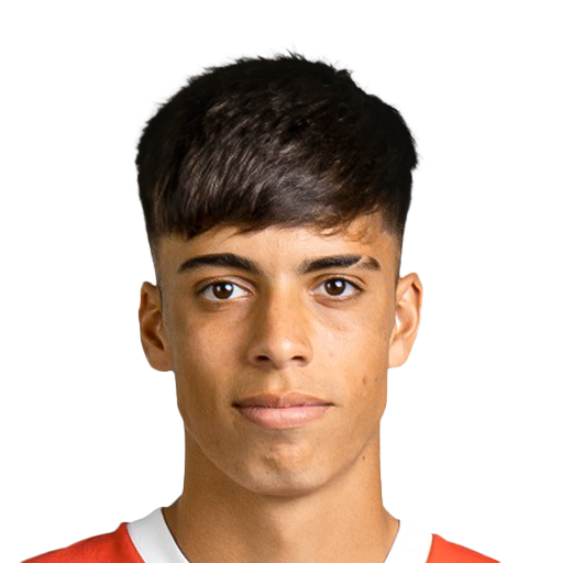 FC 25  Face