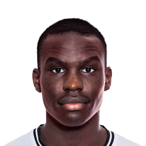 FC 25 Face