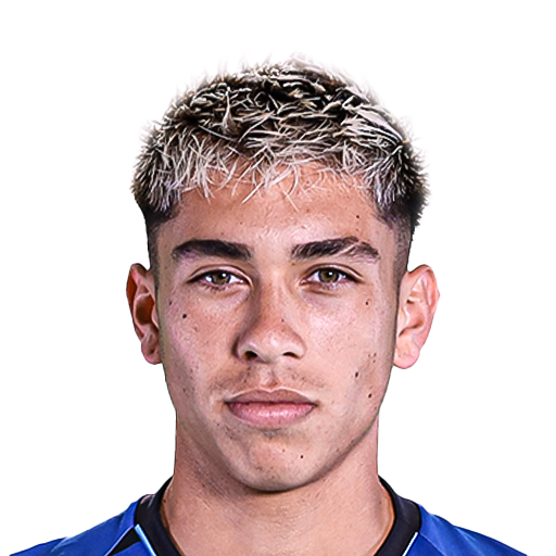FC 25  Face