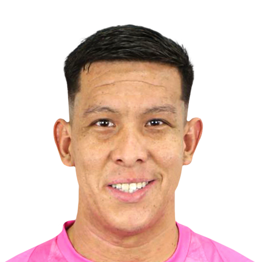 FC 25 Face