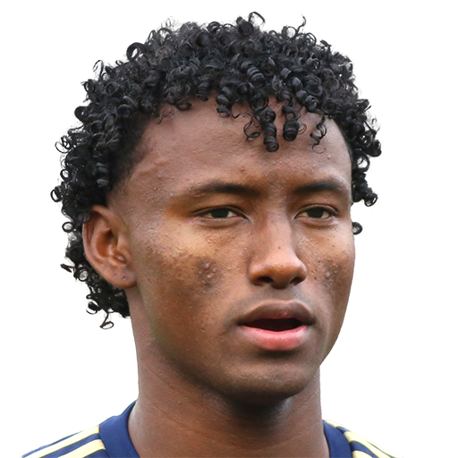 FC 25 Face