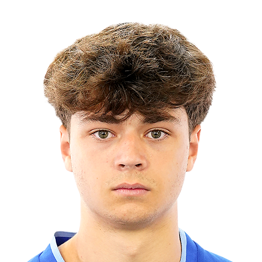FC 25 Face