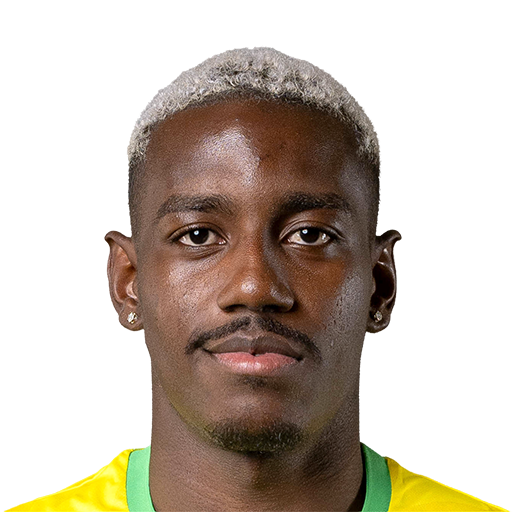 FC 25 Face