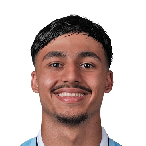 FC 25 Face