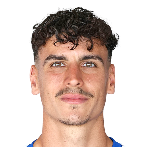 FC 25 Face