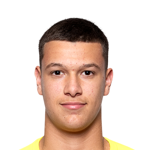 FC 25  Face