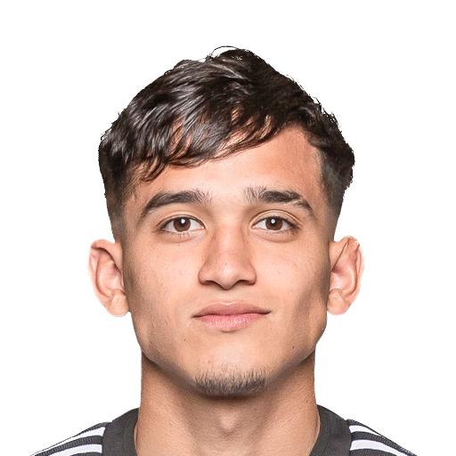 FC 25 Gorosito Face