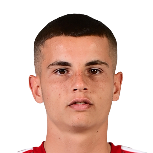 FC 25 Face