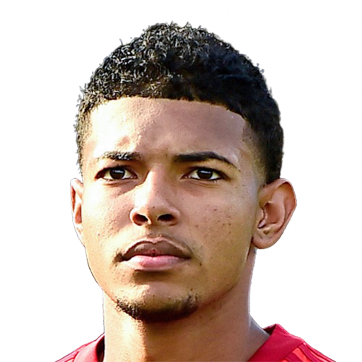 FC 25  Face