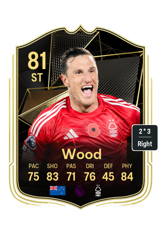 Player Card