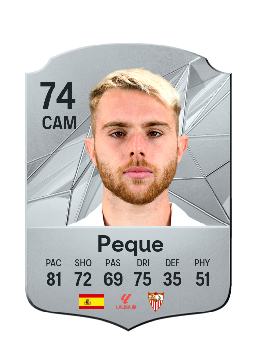 Player Card