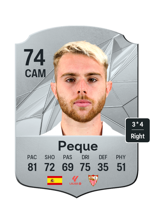 Player Card