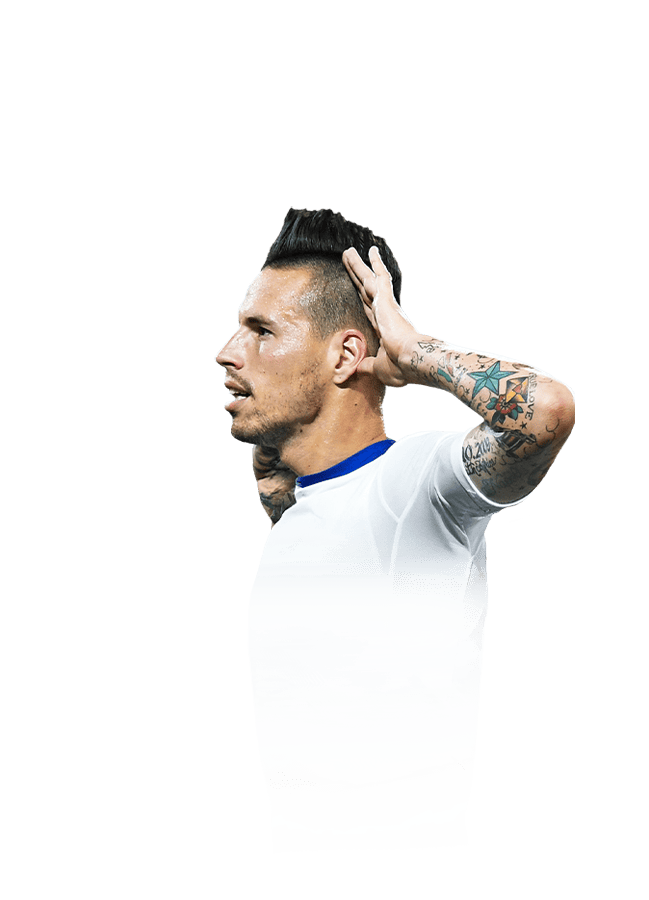 FC 26 Hamsik Face