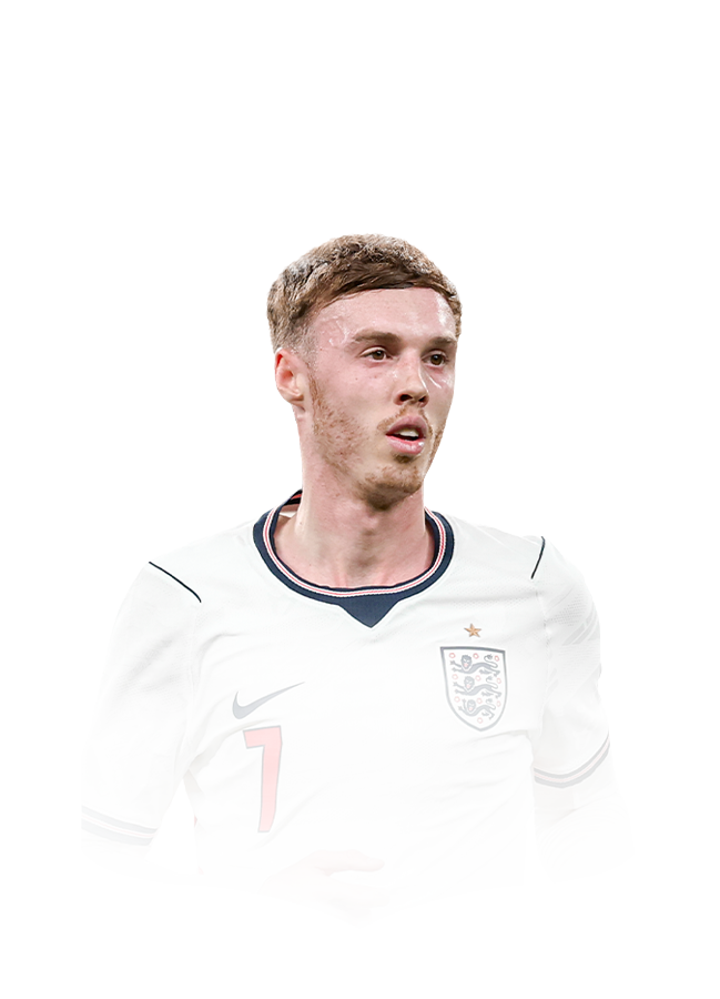 FC 26 Palmer Face