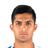 FC 26 Bicho Face