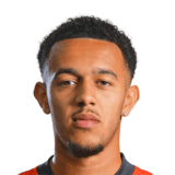 FC 26 Dion Pereira Face