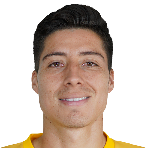 FC 26 David Noboa Face