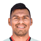 FC 26 William Alvarez Face