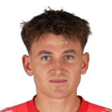 FC 26 Nikolas Polster Face