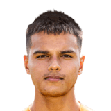 FC 26 Dani van den Heuvel Face