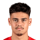 FC 26 Mees Hilgers Face